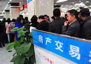 廊坊市民請注意 這些資金今后不得作為購房首付