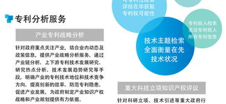 專利檢索與信息咨詢服務(wù) 助力創(chuàng)新與知識產(chǎn)權(quán)保護