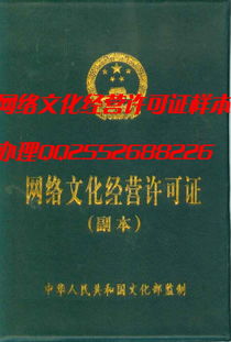 網(wǎng)絡(luò)文化經(jīng)營與Opencv新兵 從許可證到技術(shù)成長的數(shù)字文化新生態(tài)